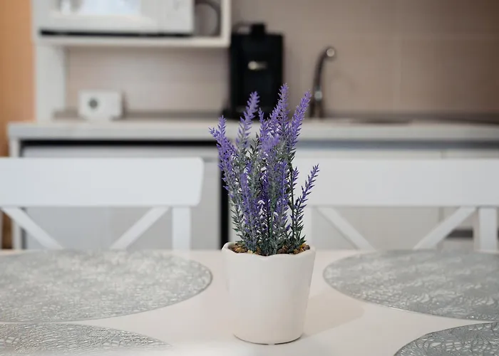 Apartman 107 B2 Almar Luxury Residence-renting & Free Pool *